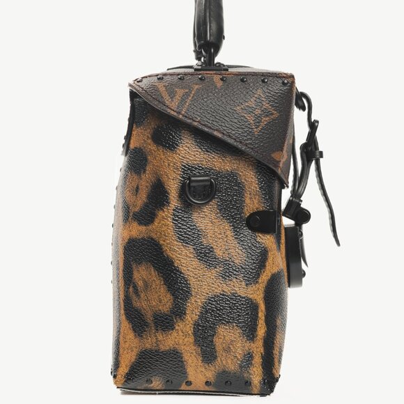 Louis Vuitton Camera Box Wild & Marron Monogram Canvas Handbag - Picture 4 of 14